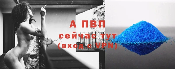 эйфоретик Заволжье