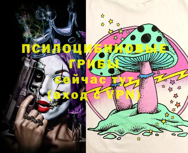 первитин Няндома